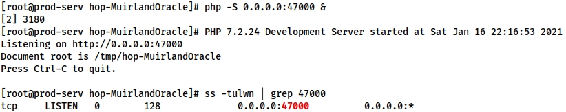 Demonstrating the process of setting up the PHP debug server